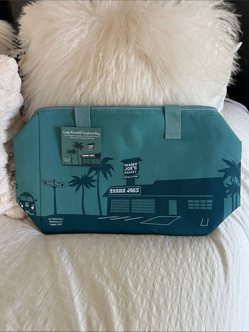 Trader Joe's Large Reusable Insulated Bag - Teal